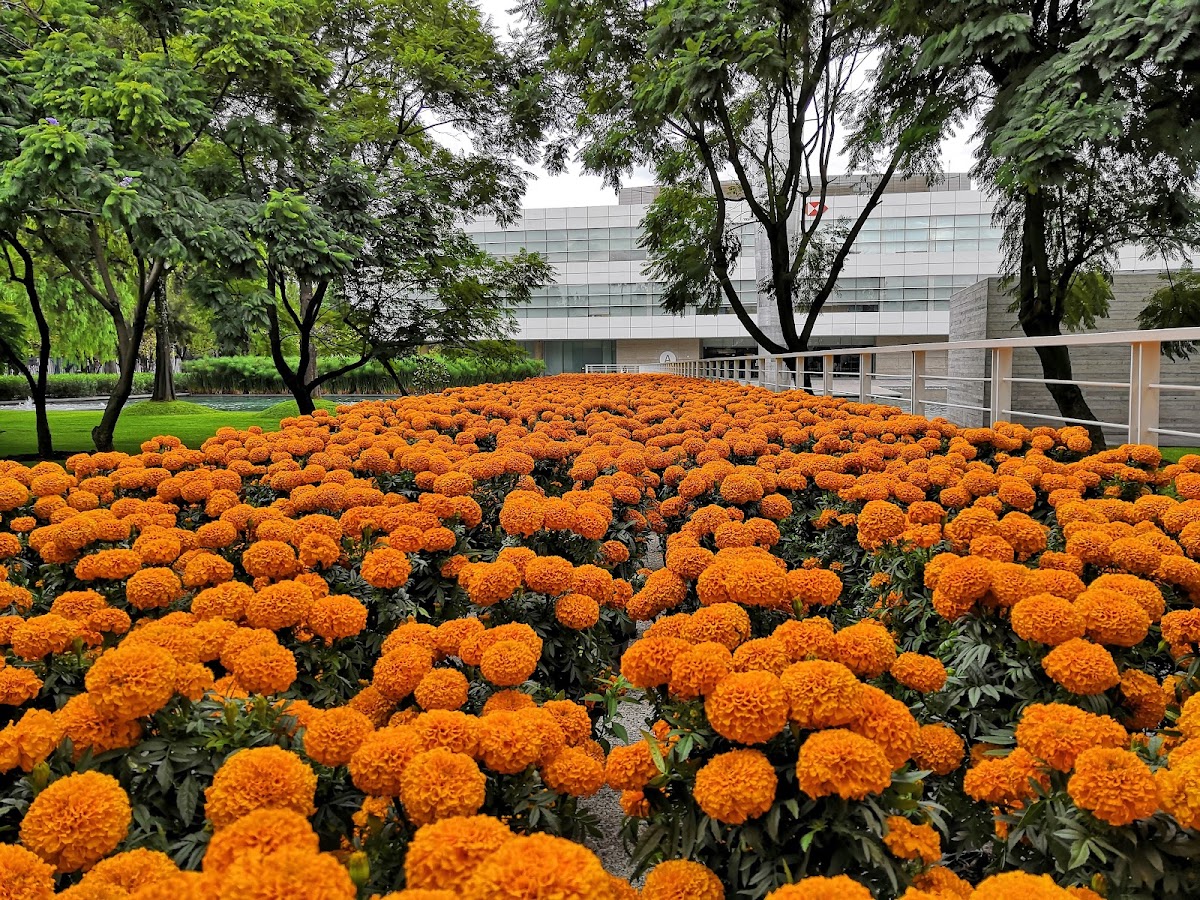 TecnoParque gallery 6