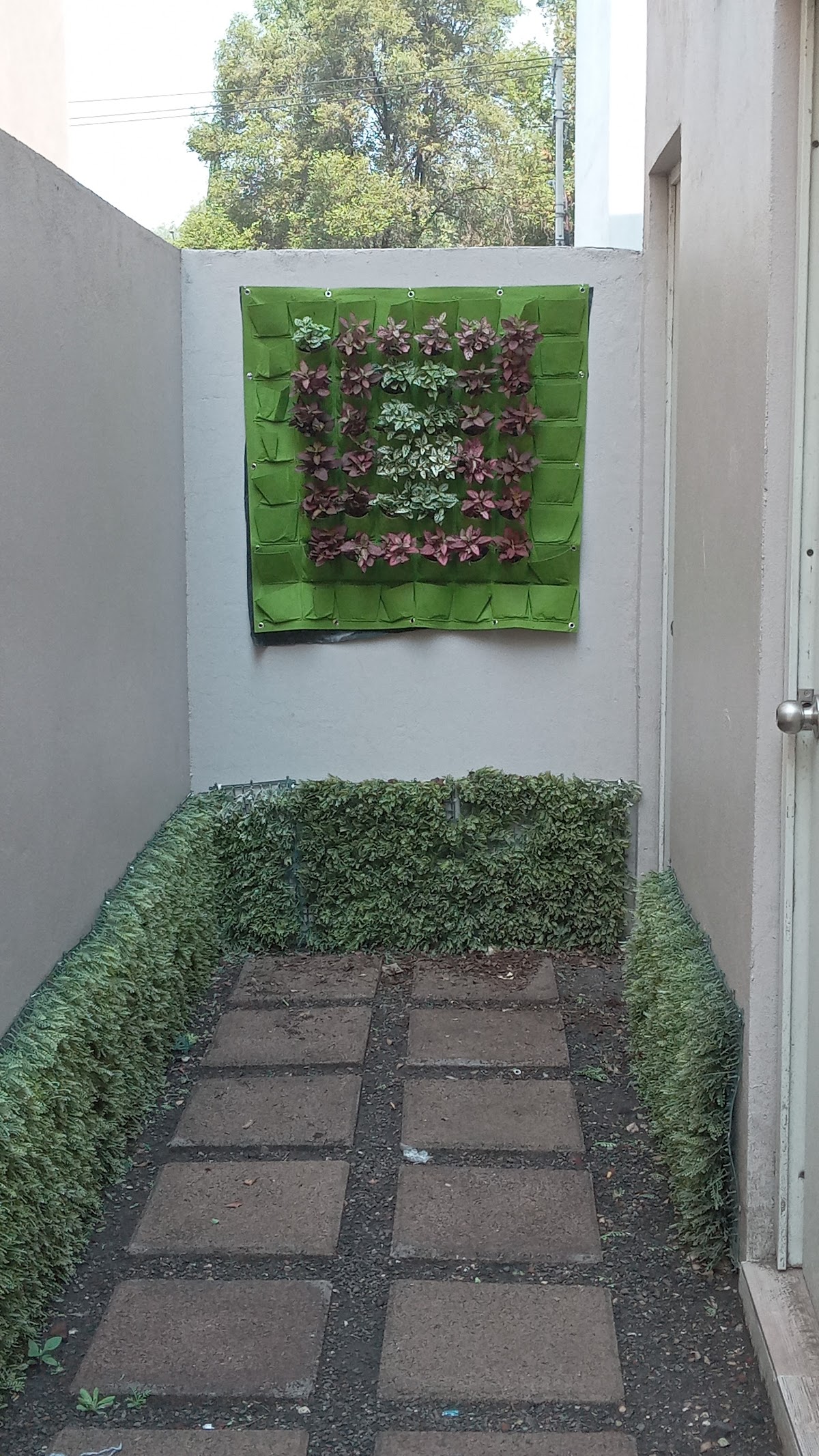 Privada del Parque gallery 8