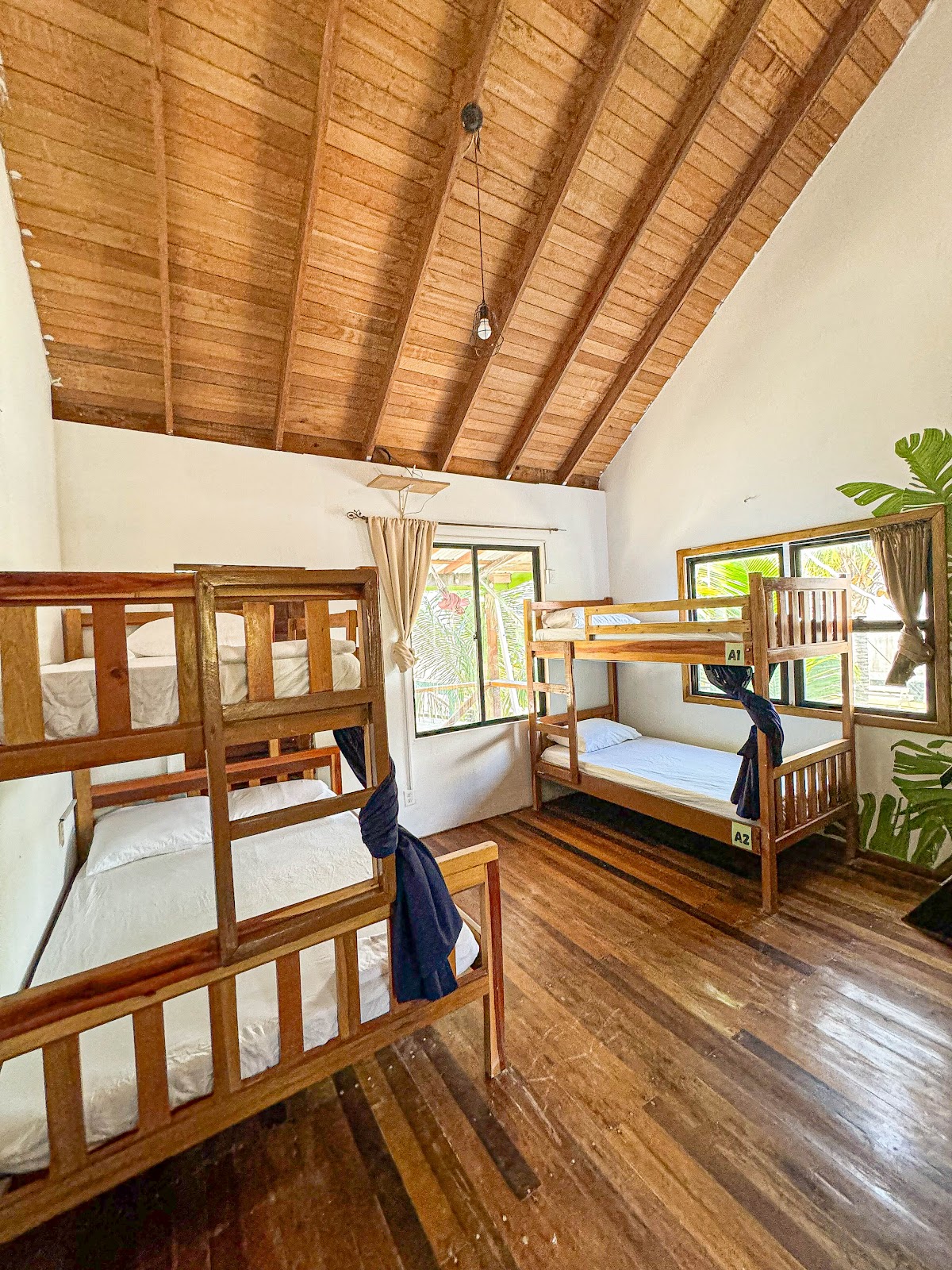 Bella's Backpackers Hostel gallery 5