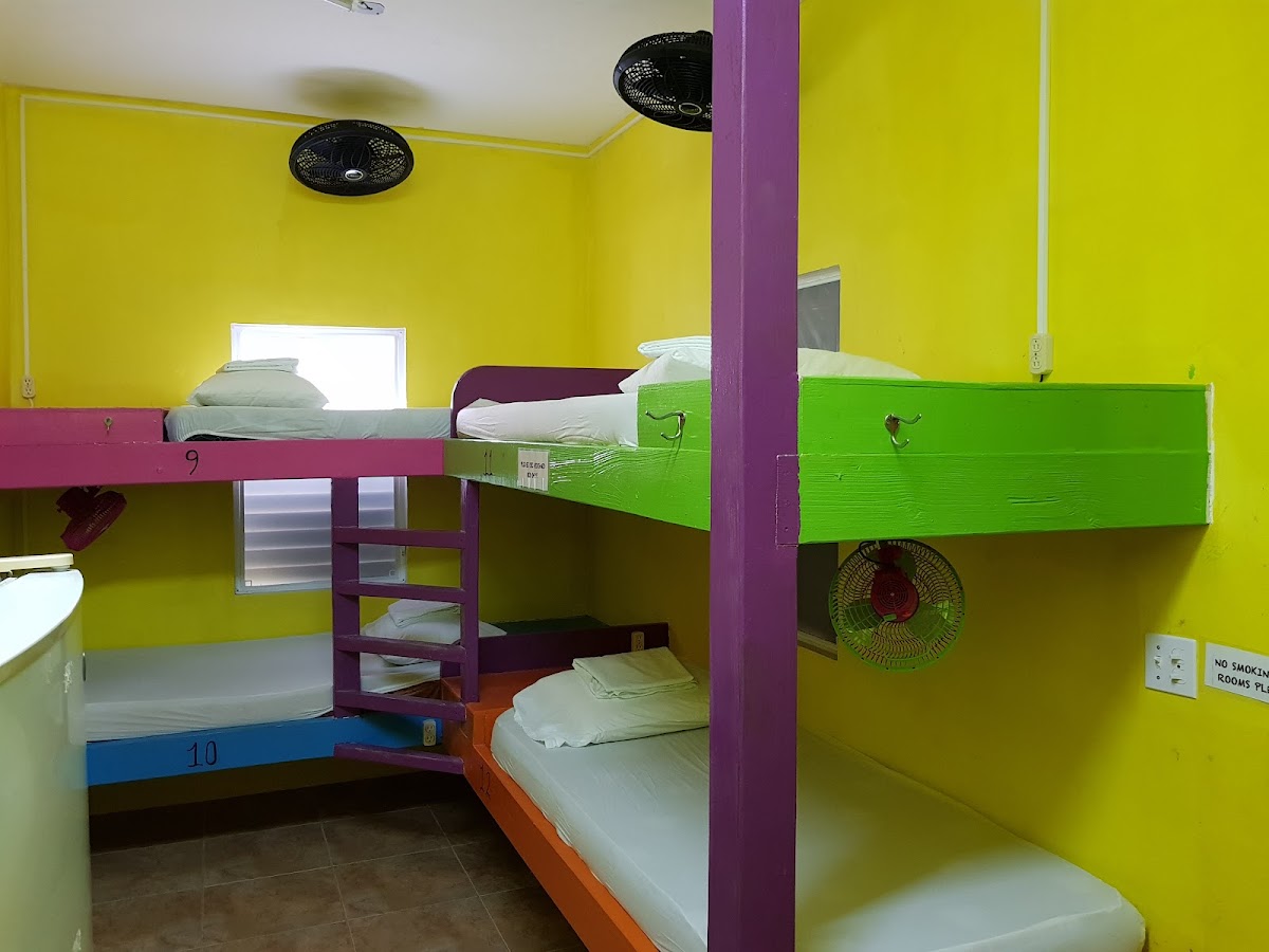 Travellers Palm Backpacker Hostel gallery 2