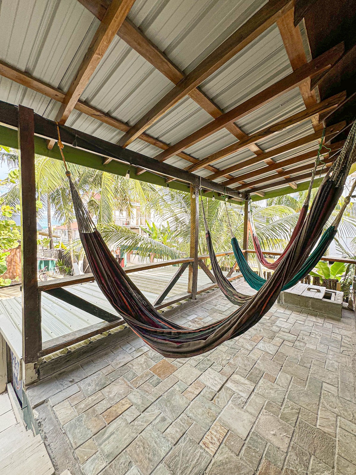Bella's Backpackers Hostel gallery 7