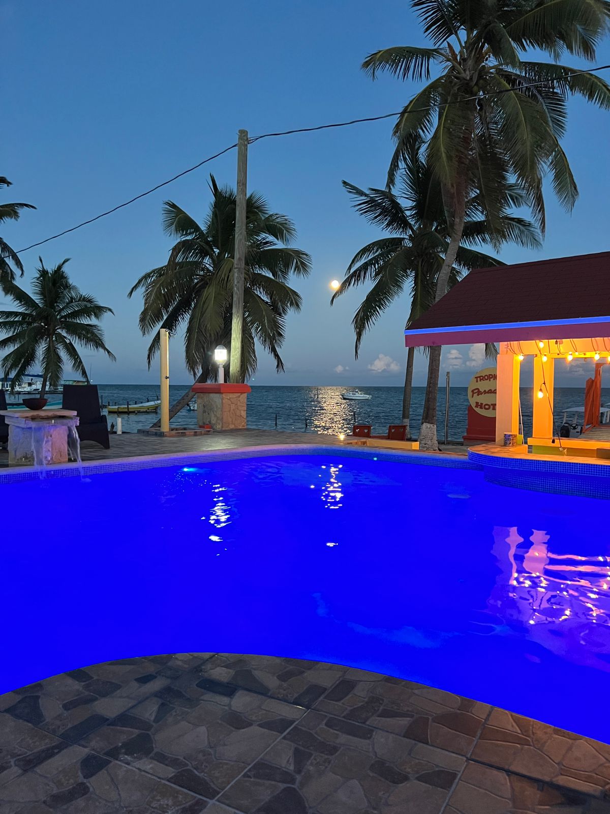 Tropical Paradise Hotel gallery 7