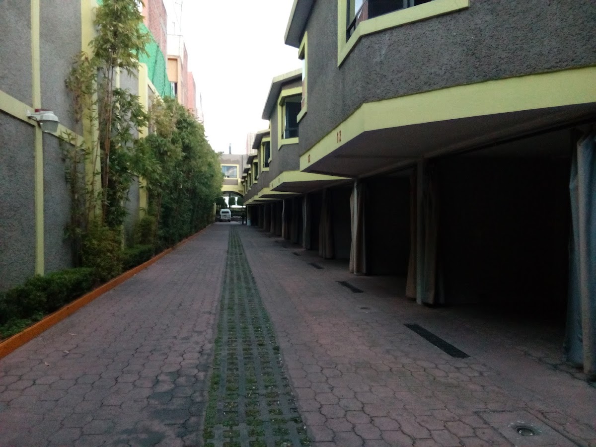 Quinta Avenida cover