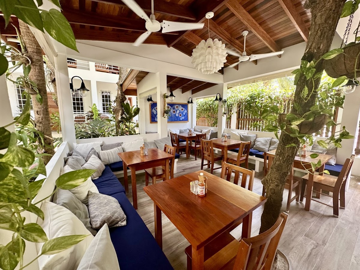 Weezie's Ocean Front Hotel and Garden Cottages gallery 10