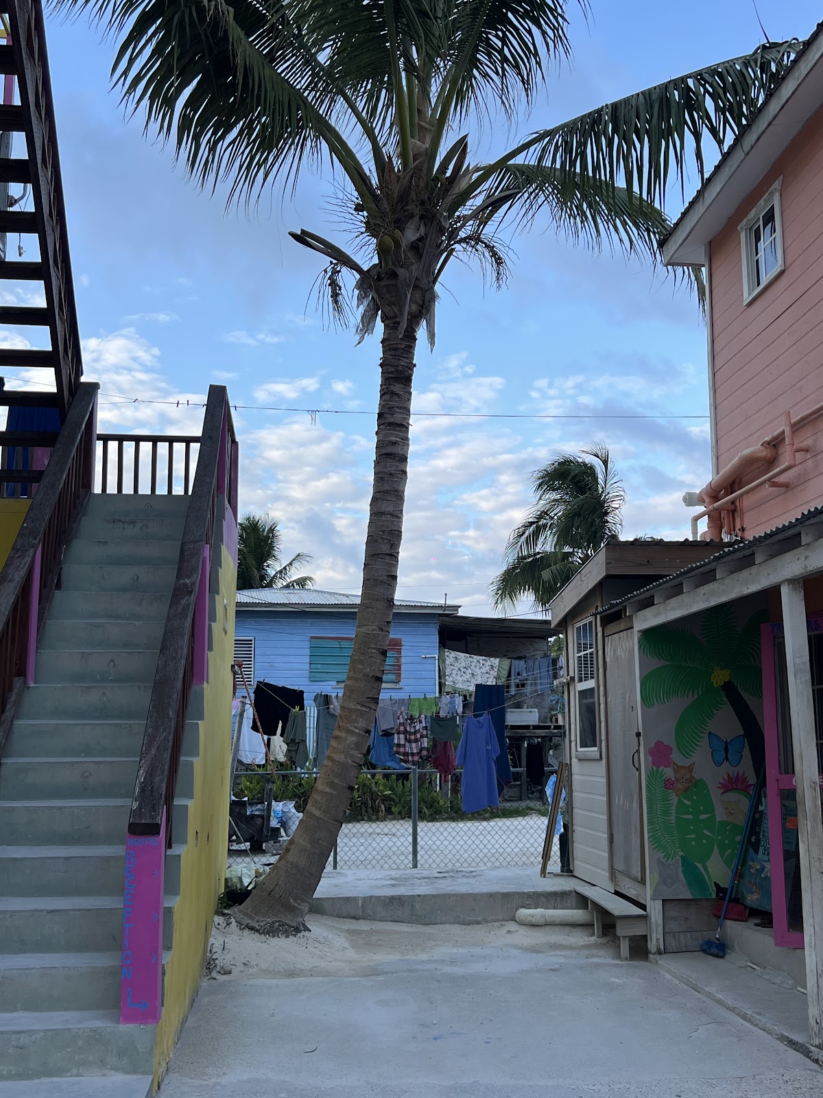 Travellers Palm Backpacker Hostel gallery 9