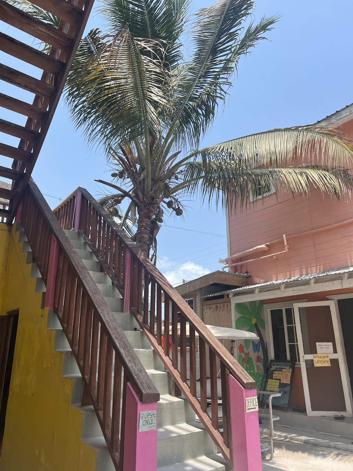 Travellers Palm Backpacker Hostel gallery 10