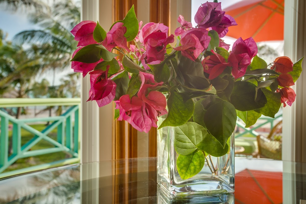 Costa Blu Beach Resort gallery 9