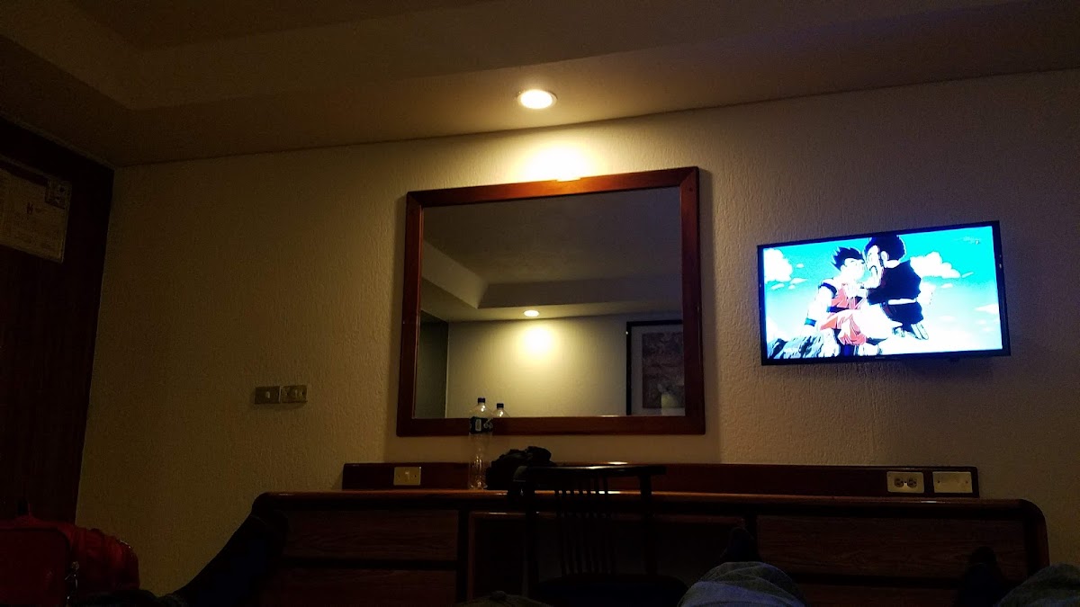 HOTEL DEL SUR gallery 10