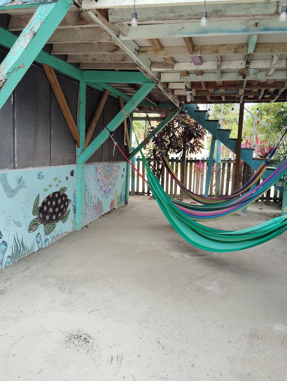 Tropical Oasis gallery 7