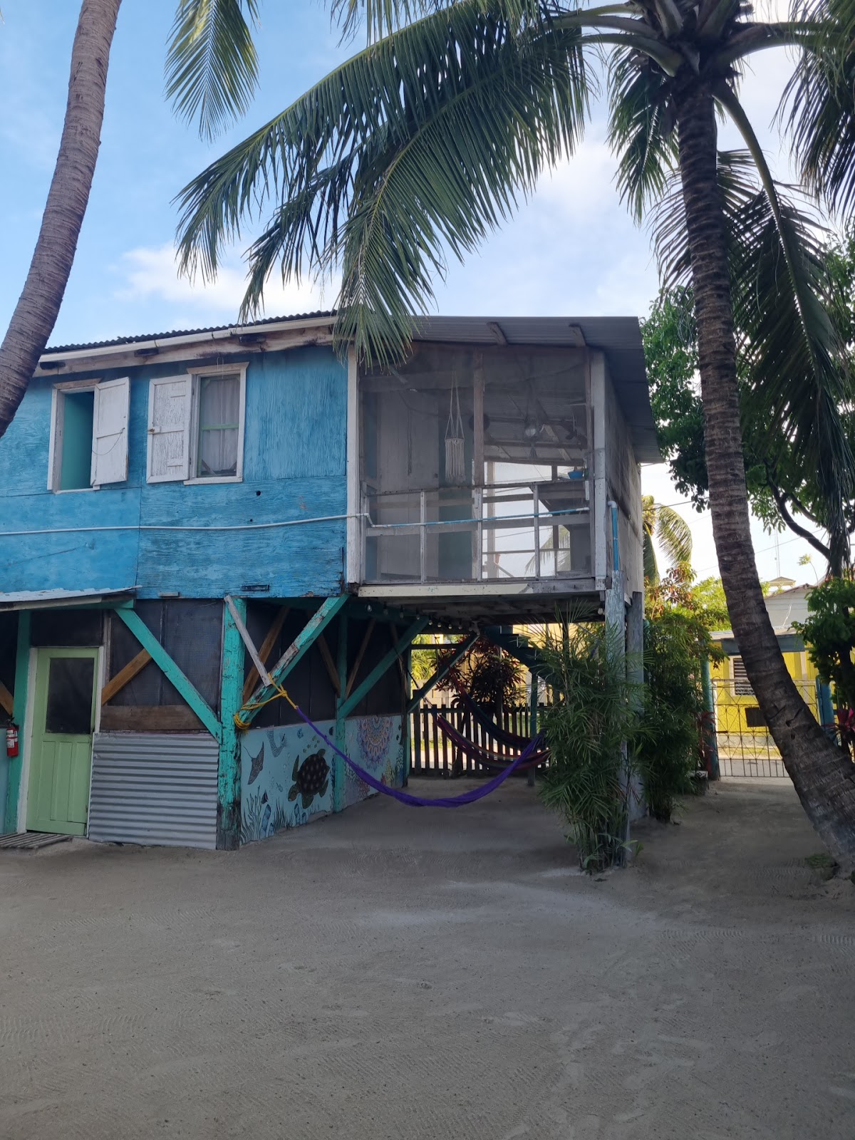 Tropical Oasis gallery 8