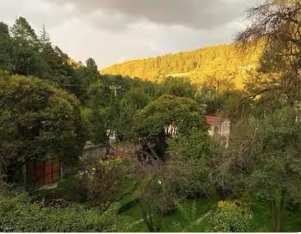 Alojamiento tipo Cabaña, rodeado de Bosque gallery 7