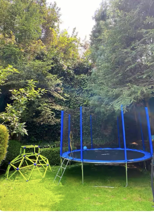 Alojamiento tipo Cabaña, rodeado de Bosque gallery 8