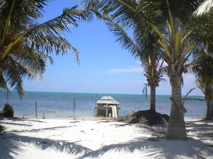 Caye Caulker Plaza Hotel gallery 9