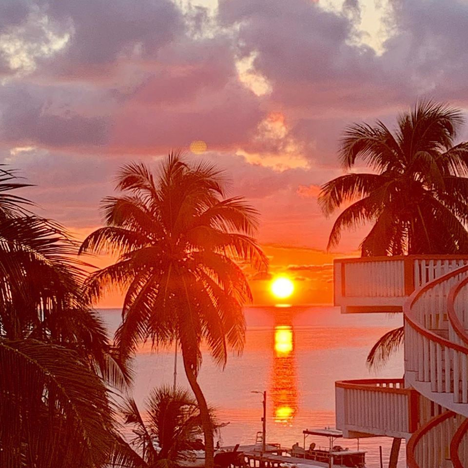 La Isla Resort gallery 5
