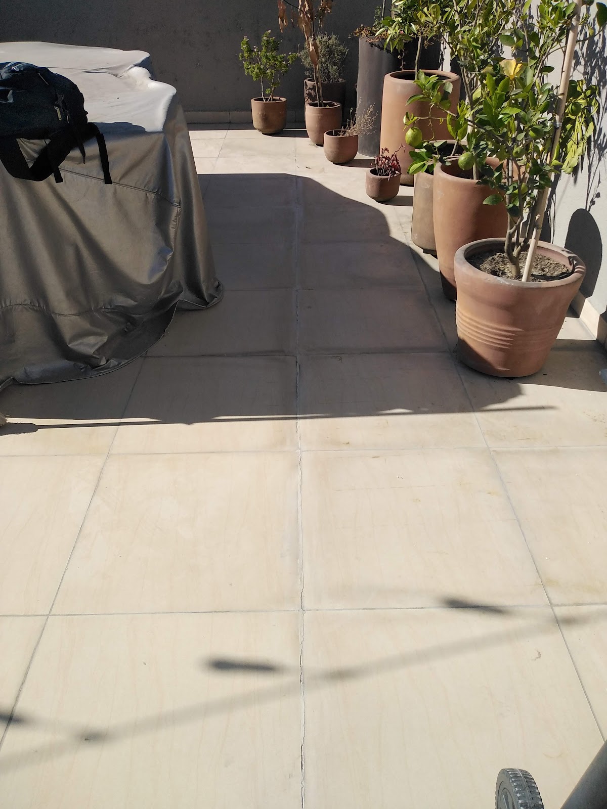 Residencial Palmerales Cuajimalpa gallery 8