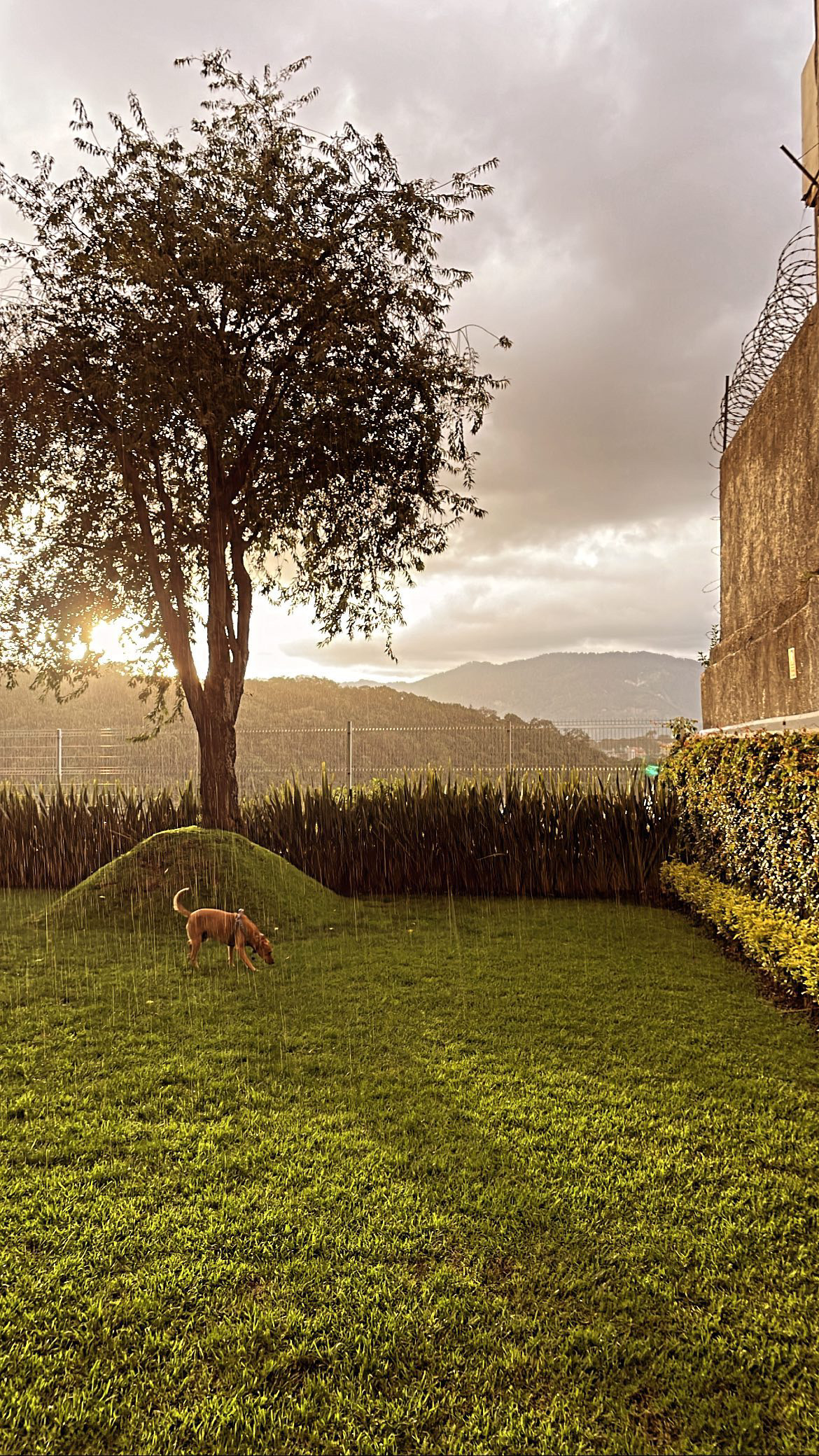 Amare Residencial gallery 4