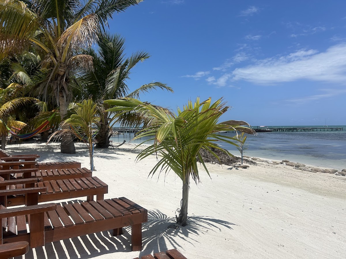 La Isla Resort gallery 9