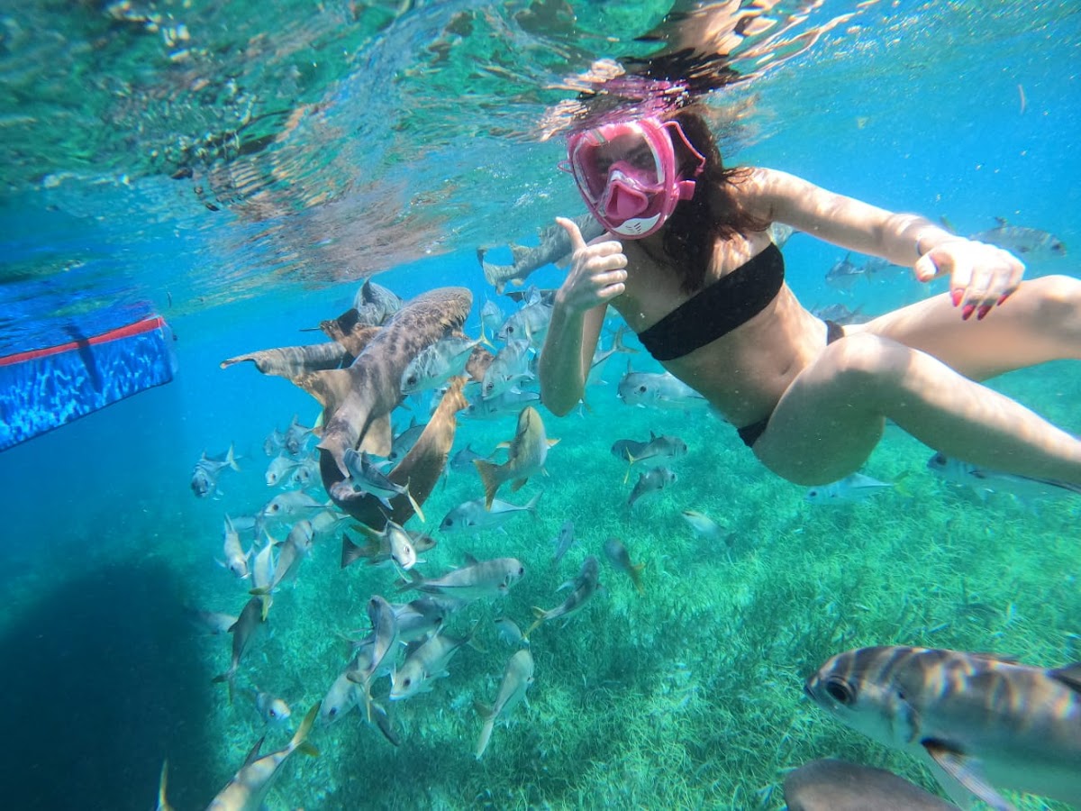 Blu Zen Caye Caulker gallery 9