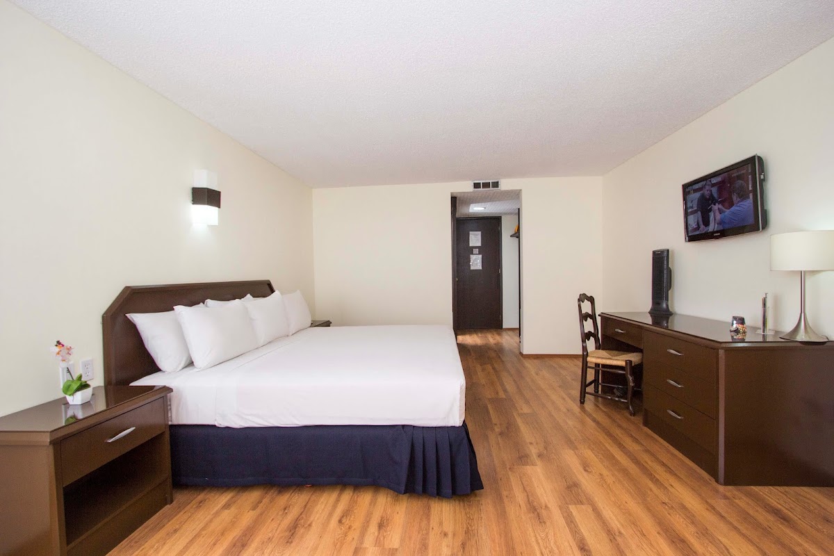 Hotel Valley of Mexico gallery 8