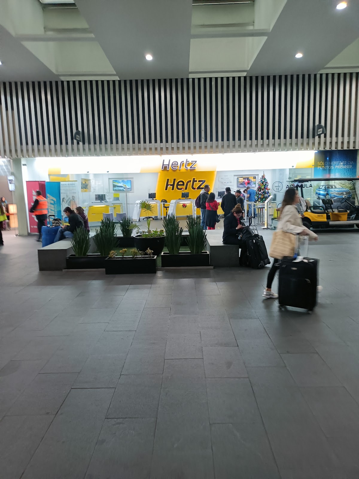Hertz gallery 6