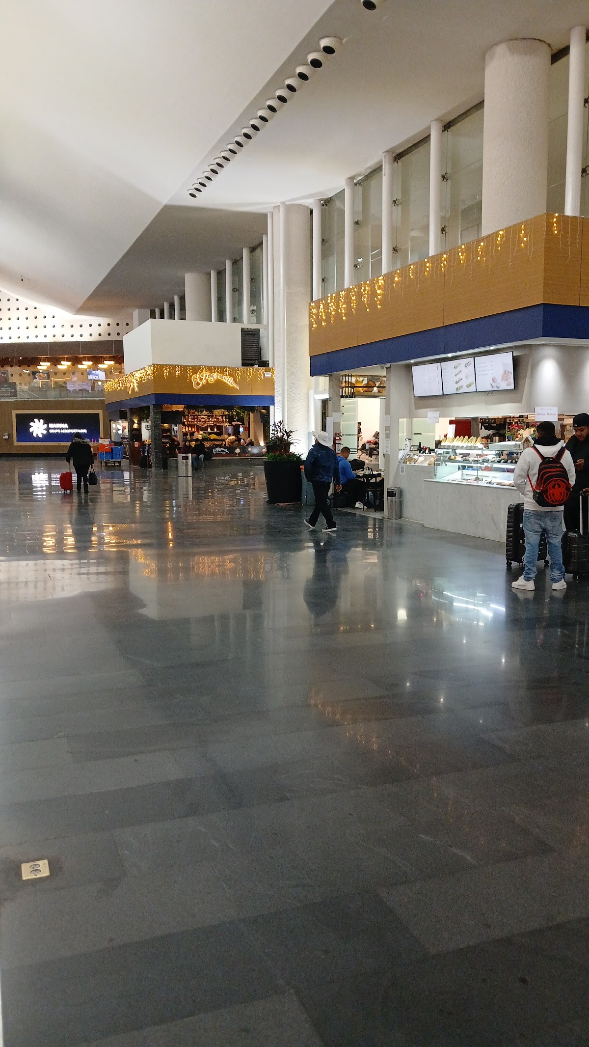 Mexico City Airport Terminal 2 gallery 7