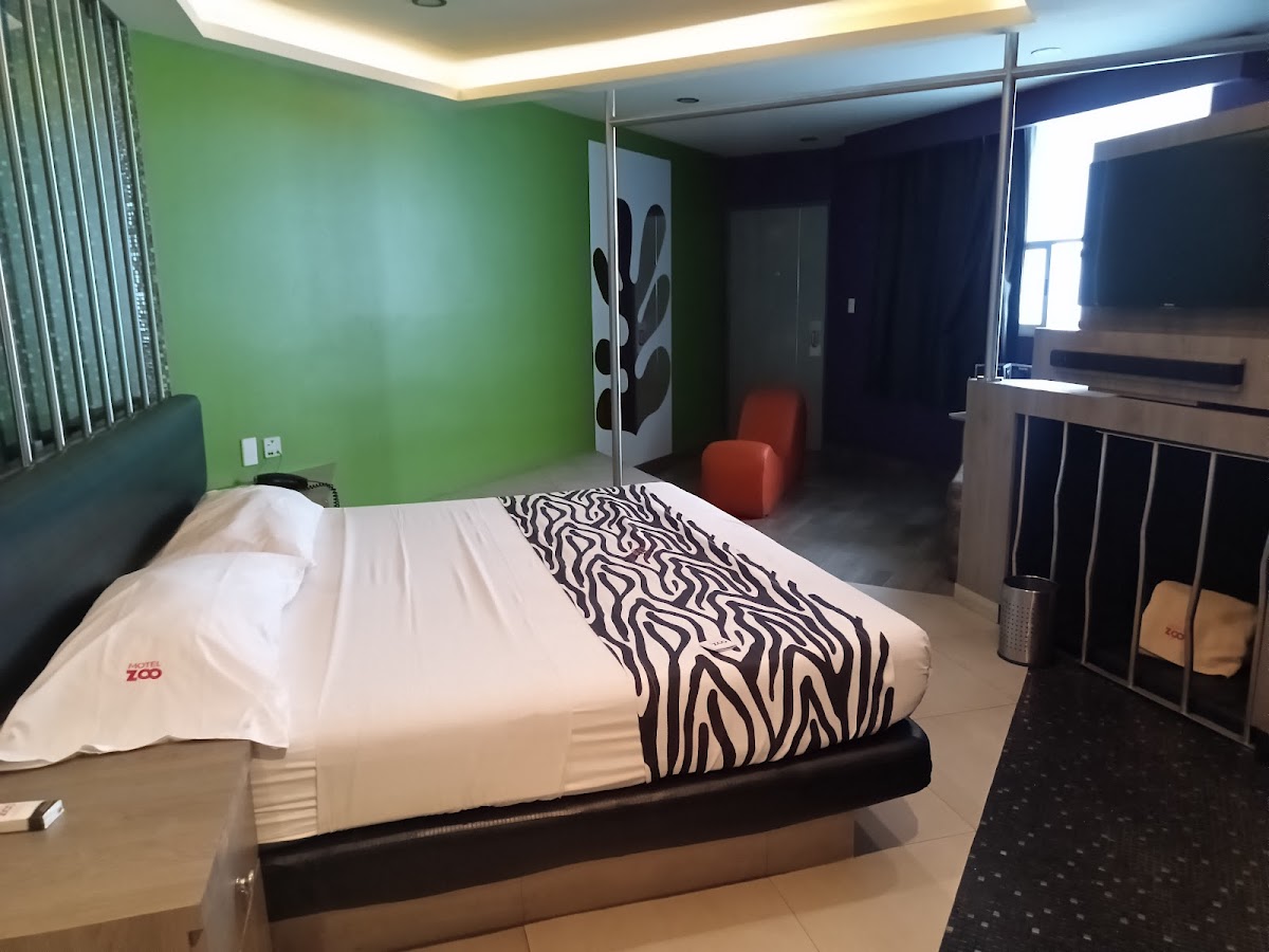 Hotel Zoo gallery 2