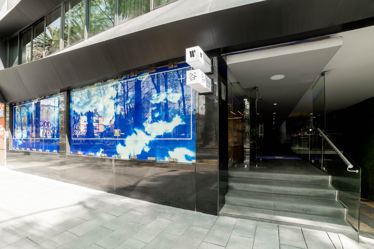 Flow Condesa gallery 8