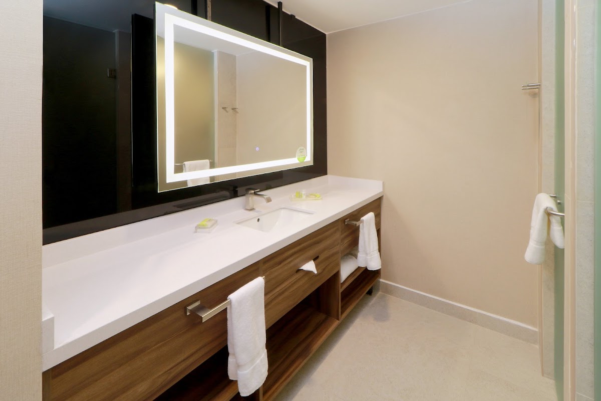 Holiday Inn & Suites Mexico Felipe Angeles Airport by IHG gallery 4