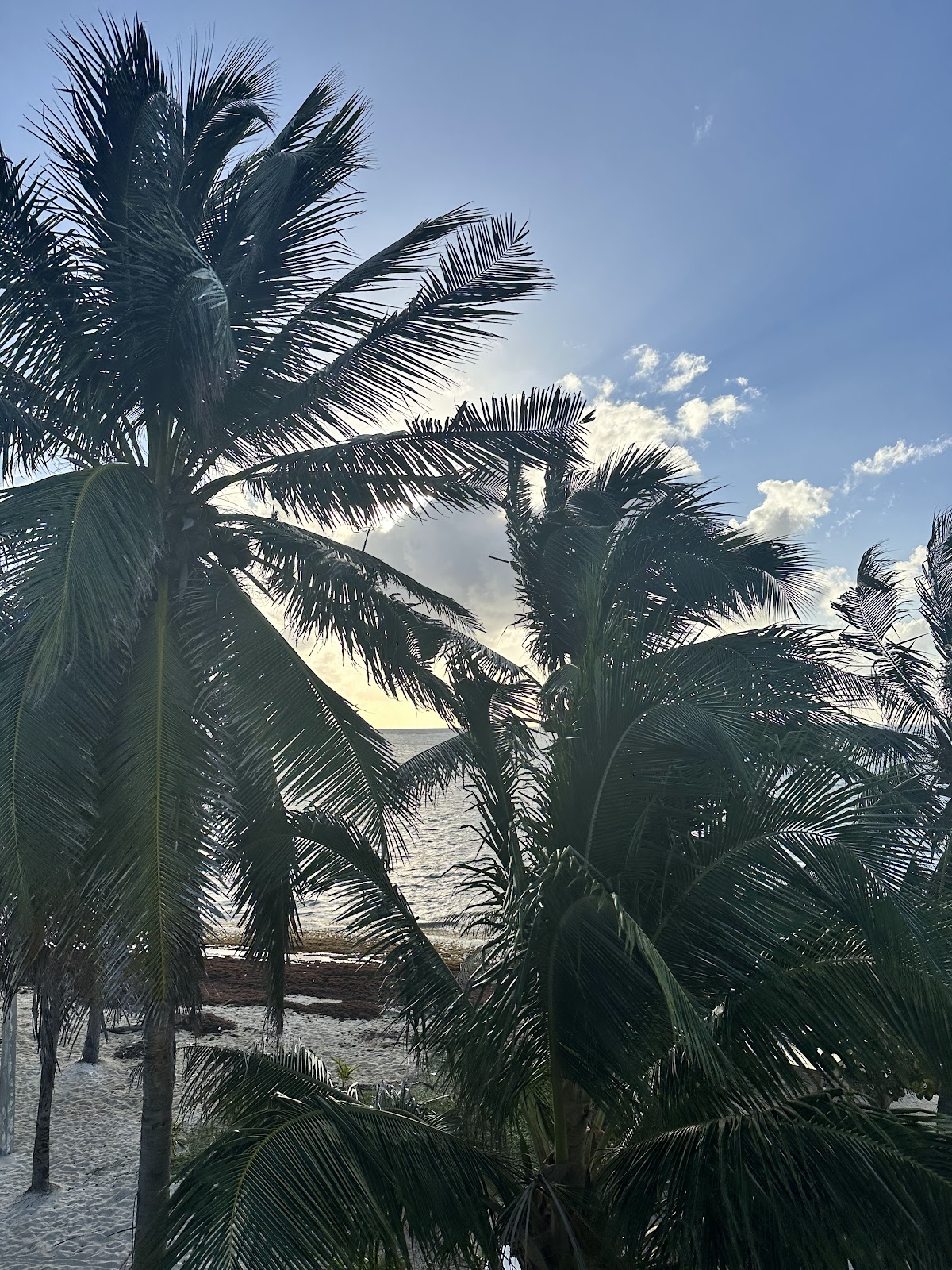 The Caye Hotel at San Pedro gallery 9