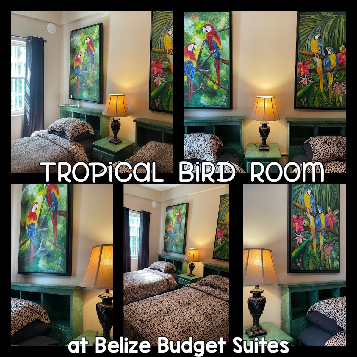 Belize Budget Suites gallery 4