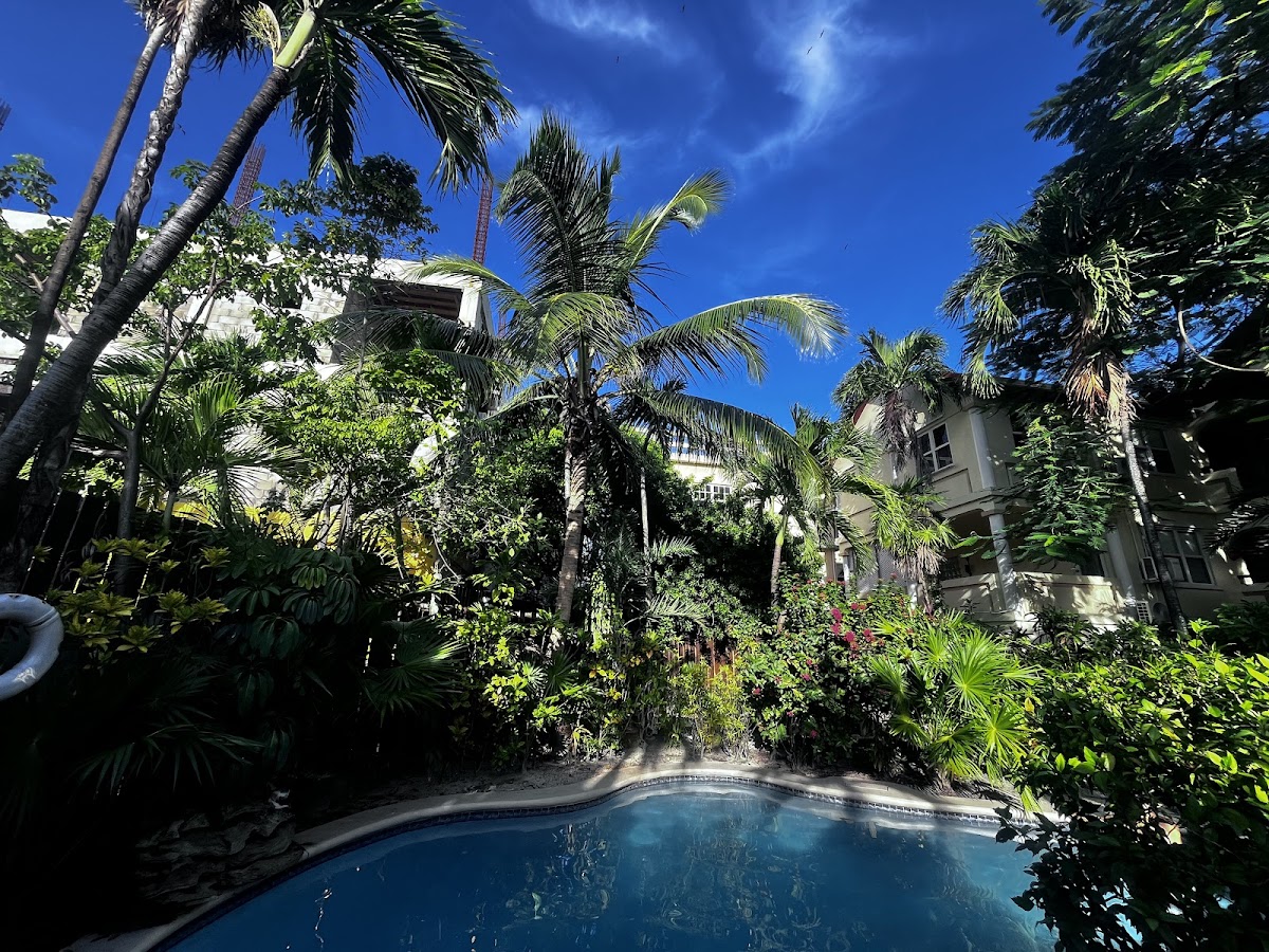 The Palms Oceanfront Suites gallery 3
