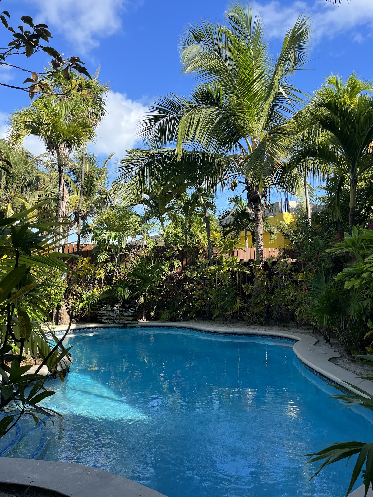 The Palms Oceanfront Suites gallery 6