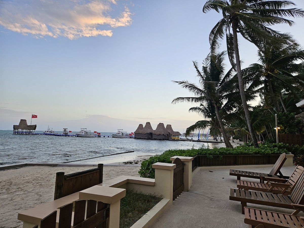 The Palms Oceanfront Suites gallery 9