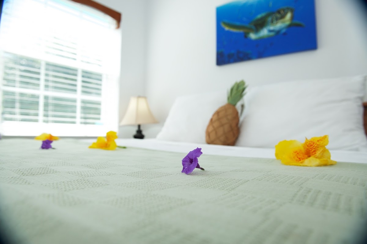 Best Western Grand Baymen Gardens gallery 10