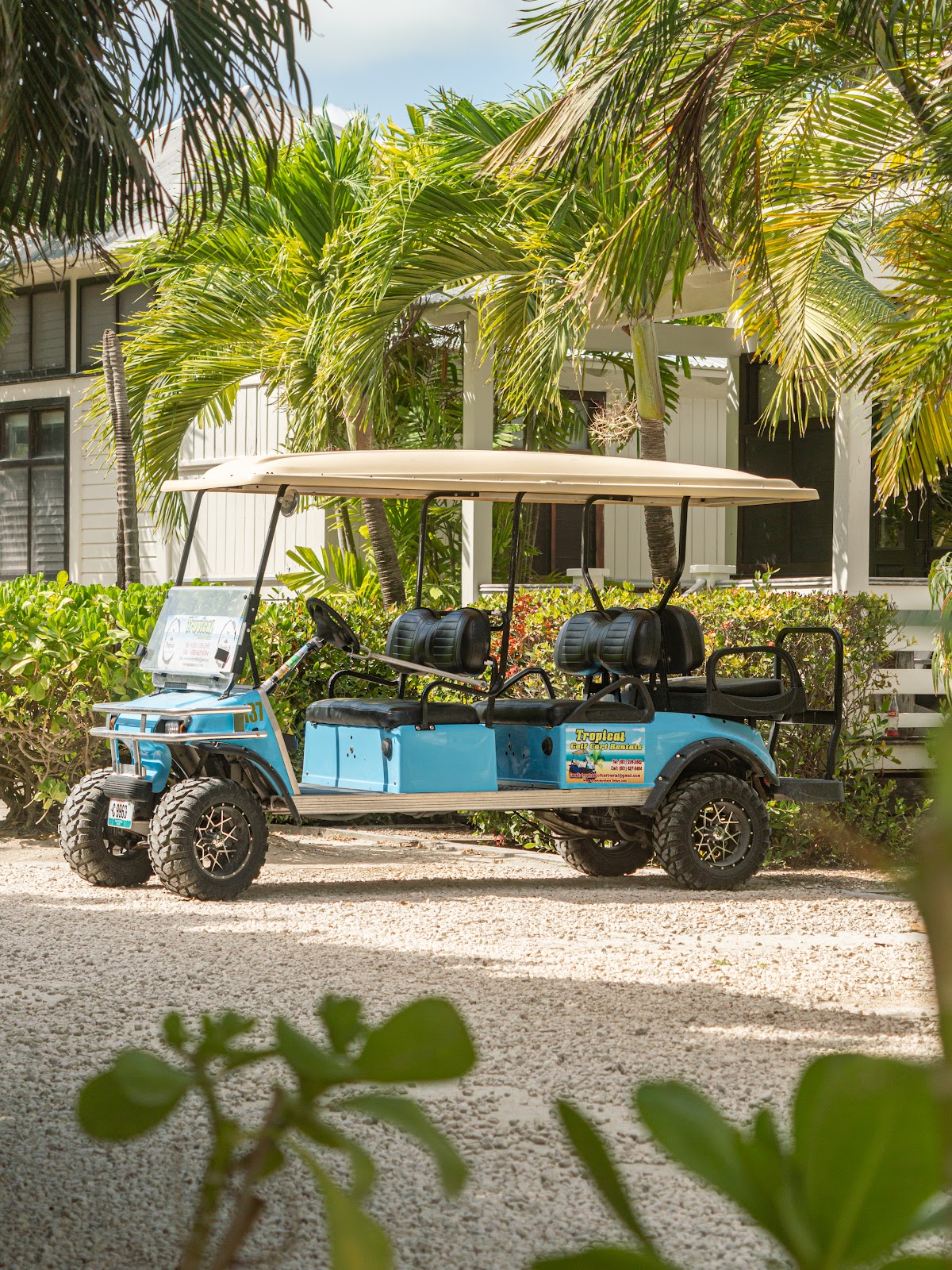 Tropical Palace Hotel gallery 10