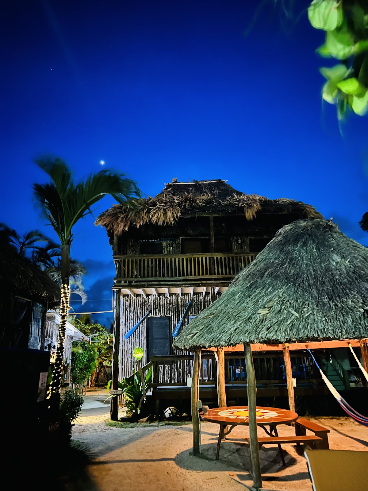 Hotel Del Rio cover