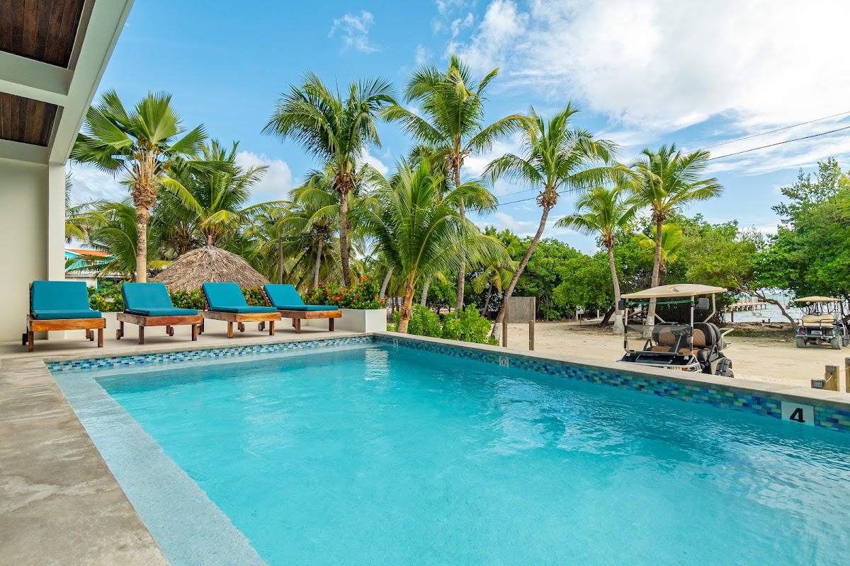 Hibisco Belize gallery 2