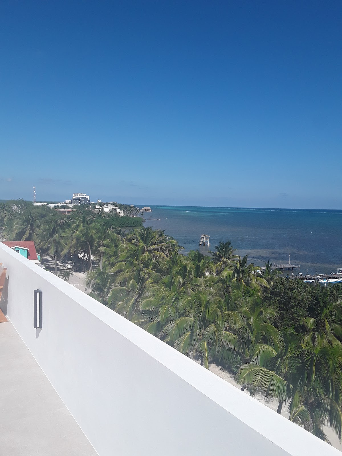 Hibisco Belize gallery 10