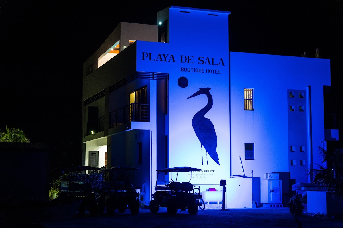 Playa De Sala Boutique Hotel (13+) gallery 10