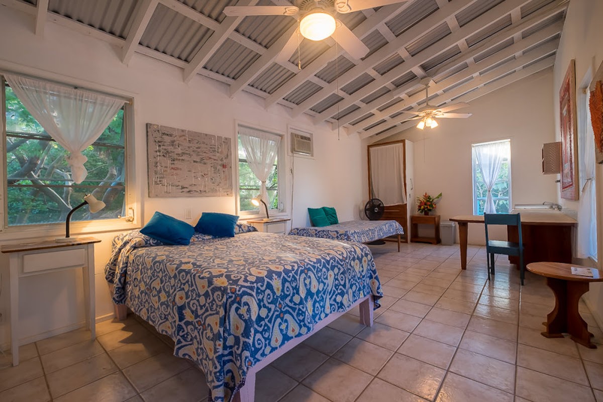 Feathers Guesthouse gallery 4