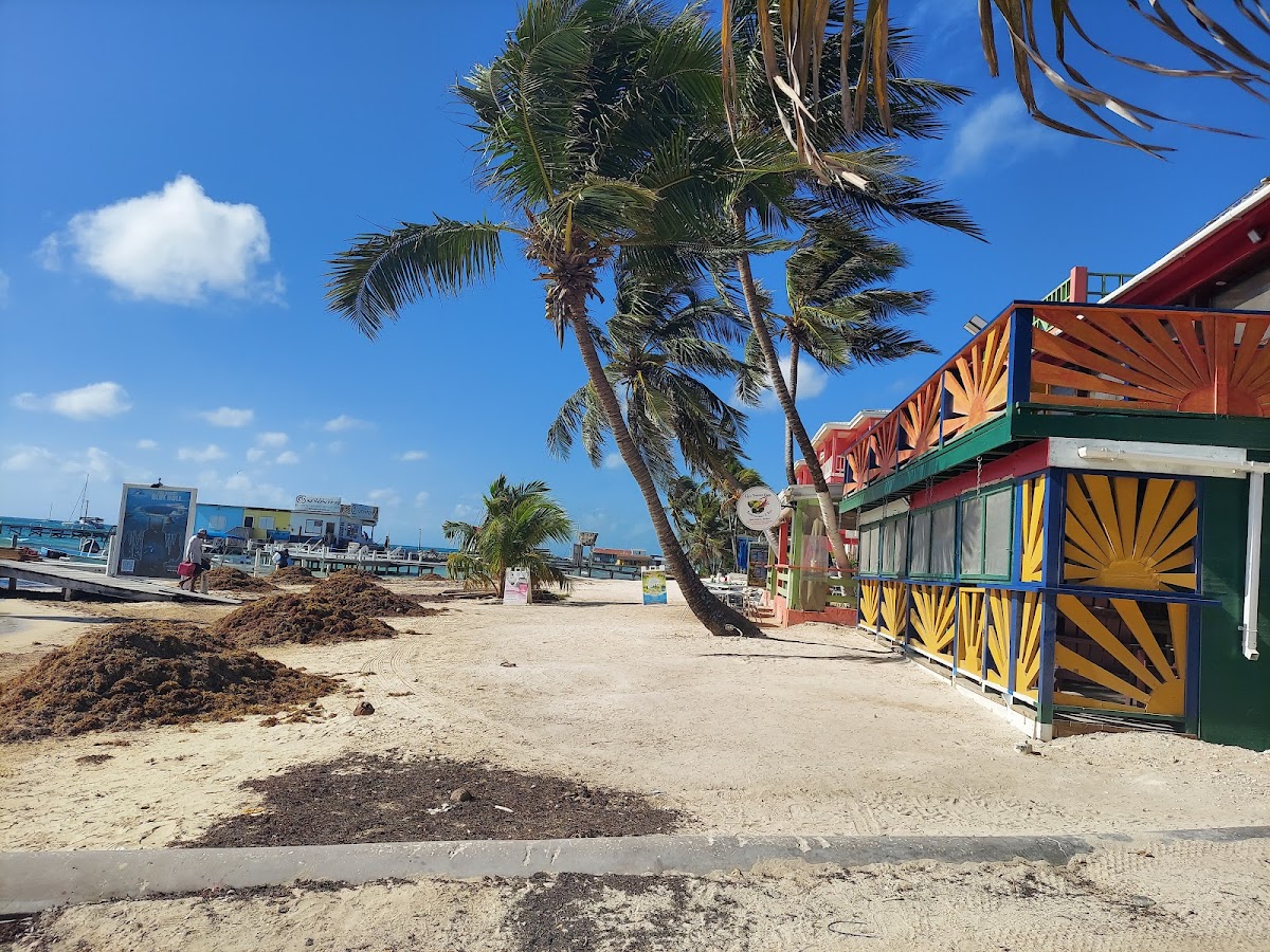 Conch Shell Inn gallery 3