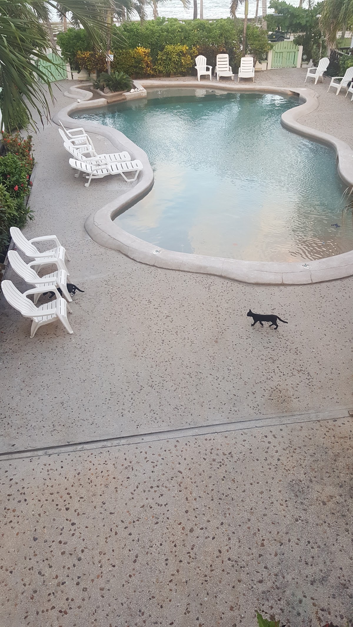 Oasis Del Caribe gallery 2