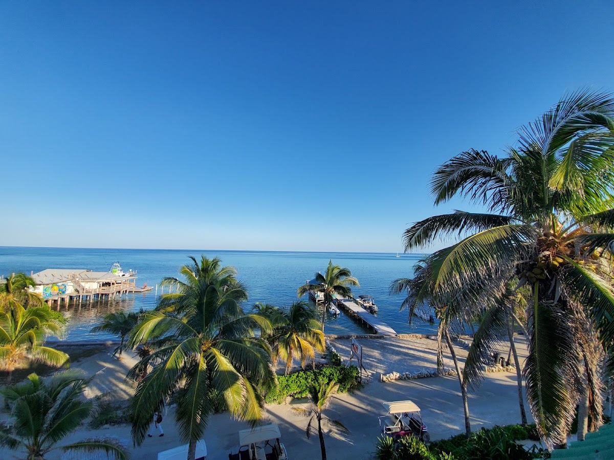 Oasis Del Caribe gallery 3