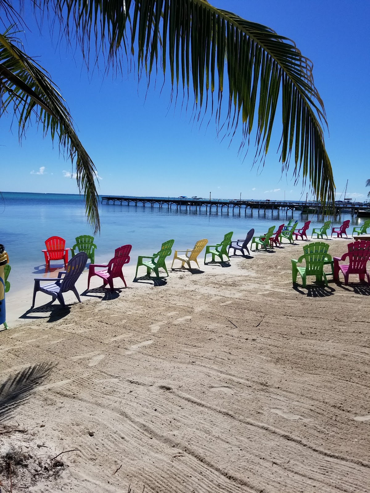 Oasis Del Caribe gallery 4