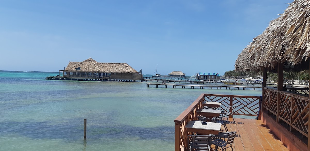 Oasis Del Caribe gallery 5