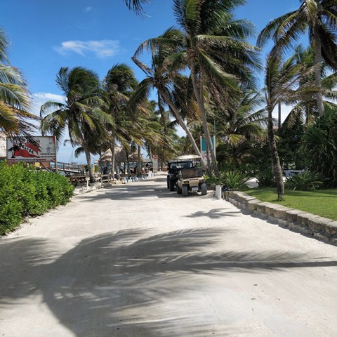 Oasis Del Caribe gallery 6