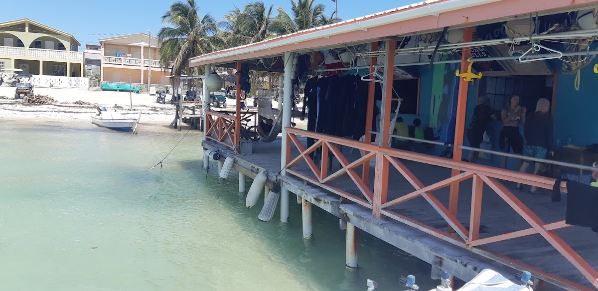 Oasis Del Caribe gallery 7