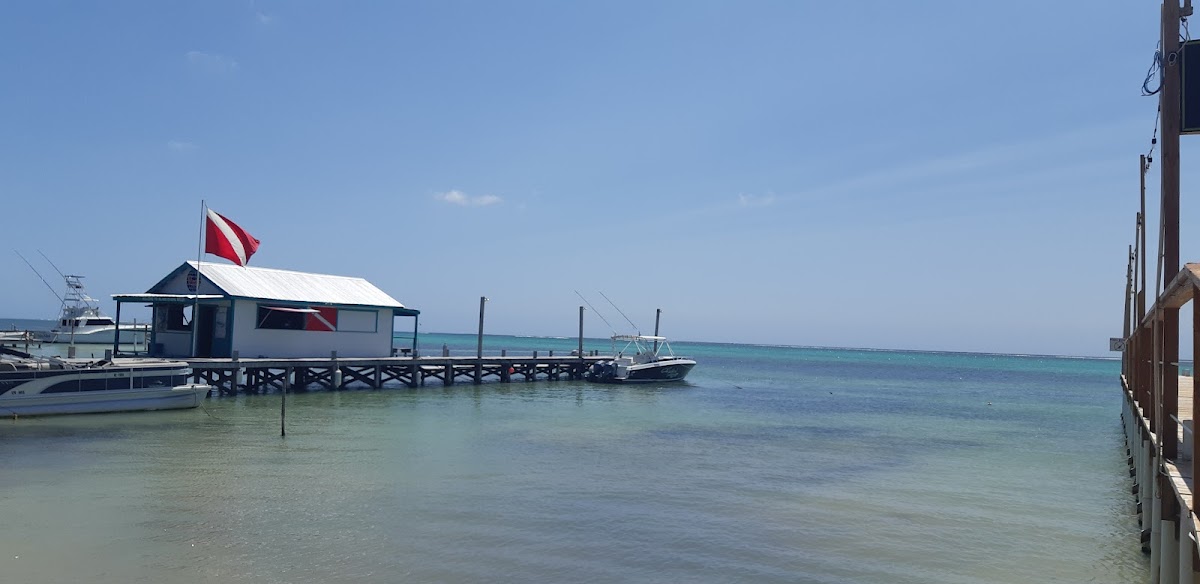 Oasis Del Caribe gallery 10