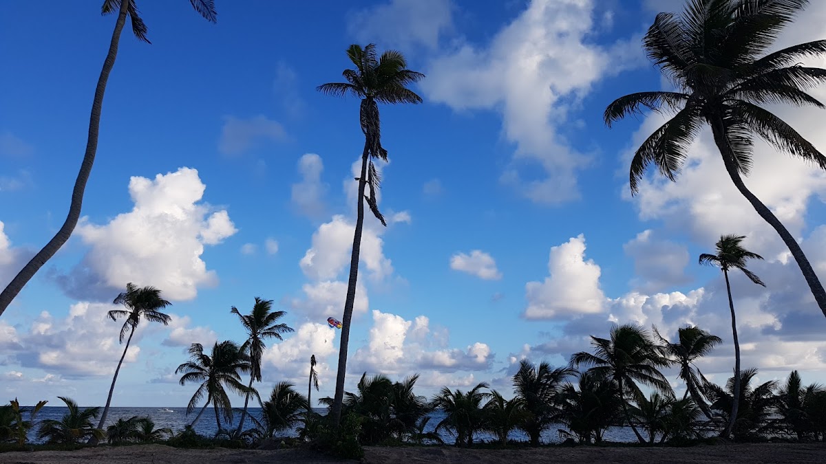 Royal Beach Cabanas gallery 8