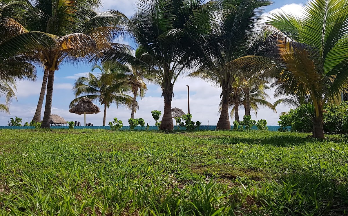 Royal Beach Cabanas gallery 9